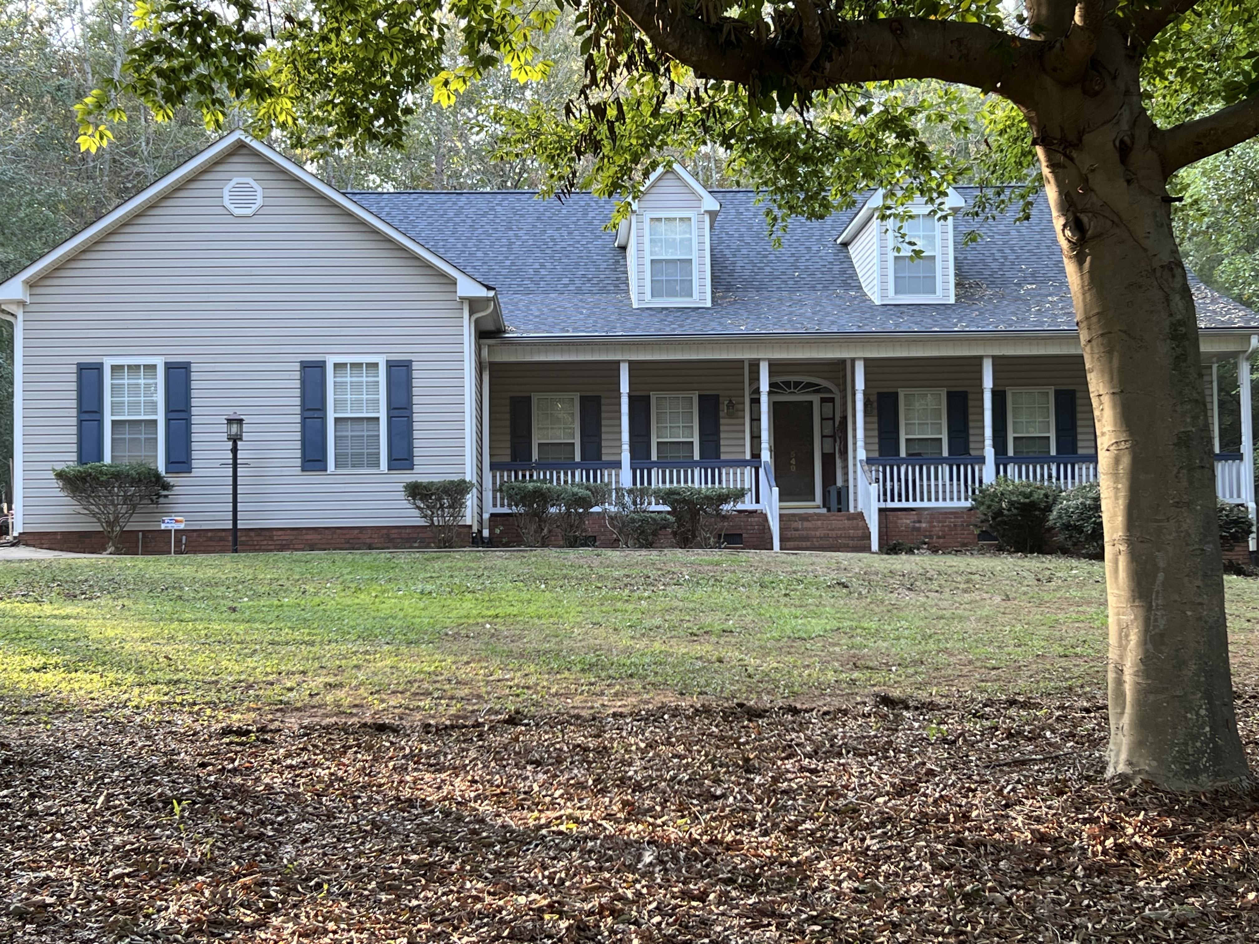 Big yard cleanup — after